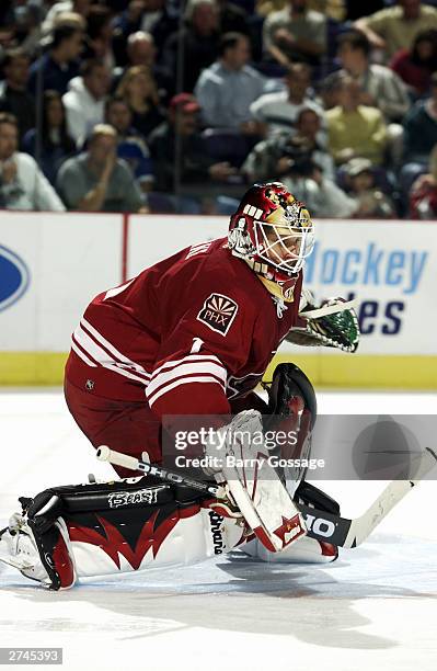 Sean Burke of the Phoenix Coyotes looks for the puck against the St. Louis Blues on November 19, 2003 at America West Arena in Phoenix, Arizona. The...