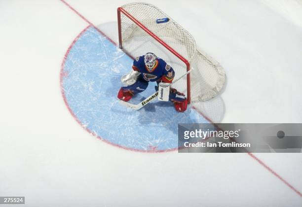 Goaltender Grant Fuhr of the St. Louis Blues in action during a game against the Calgary Flames at the Saddledome in Calgary, Alberta Canada. The...