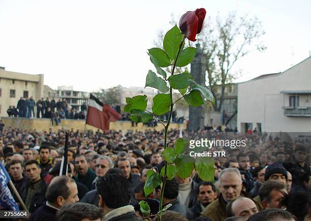 Protestor holds a red rose during a rally demanding President Eduard Shevarnadze's resignation, 23 November 2003, in Tbilisi. Georgia was plunged...