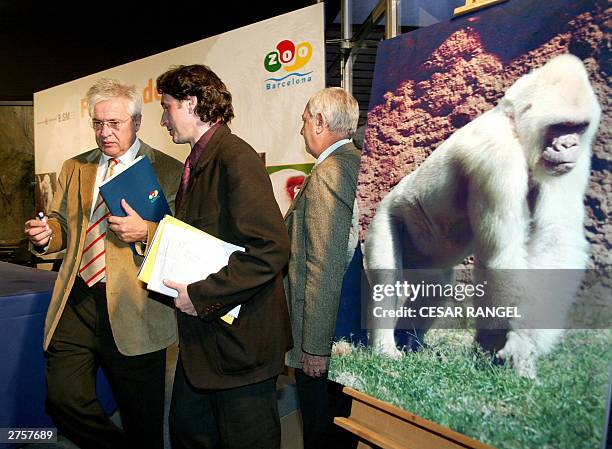The Mayor of Barcelona Joan Clos and Pere Portabella of Barcelona council stand next a portrait of Copo de Nieve , believed to be the only albino...