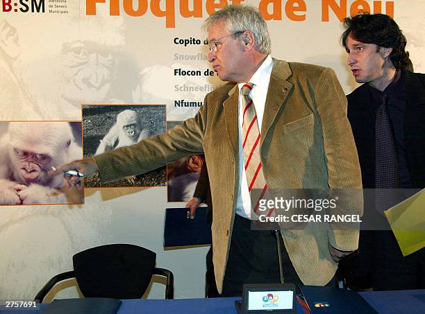 The Mayor of Barcelona Joan Clos and Pere Portabella of Barcelona council show a portrait of Copo de Nieve , believed to be the only albino gorilla...