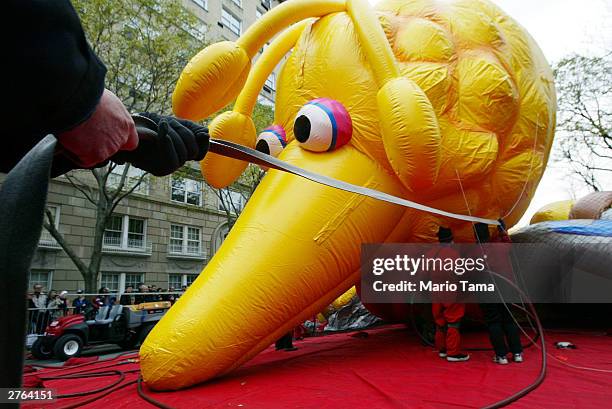 Giant Big Bird balloon is inflated with helium in preparation for the 77th annual Macy's Thanksgiving Day Parade November 26, 2003 in New York City....