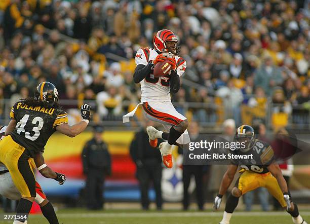 Chad Johnson of the Cincinnati Bengals gets some hang time in between Troy Polamalu and Chris Hope of the Pittsburgh Steelers on November 30, 2003 at...