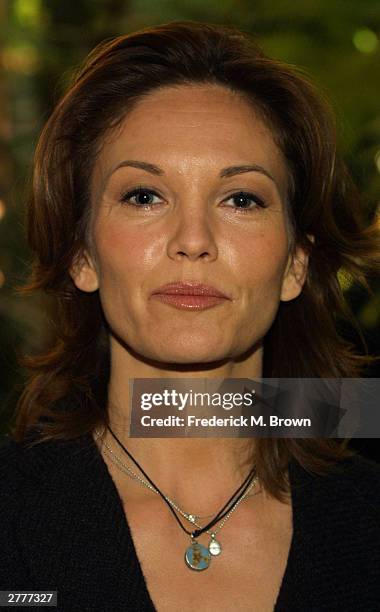 Actress Diane Lane attends the 12th Annual Women in Entertainment Breakfast at the Beverly Hills Hotel on December 2, 2003 in Beverly Hills,...