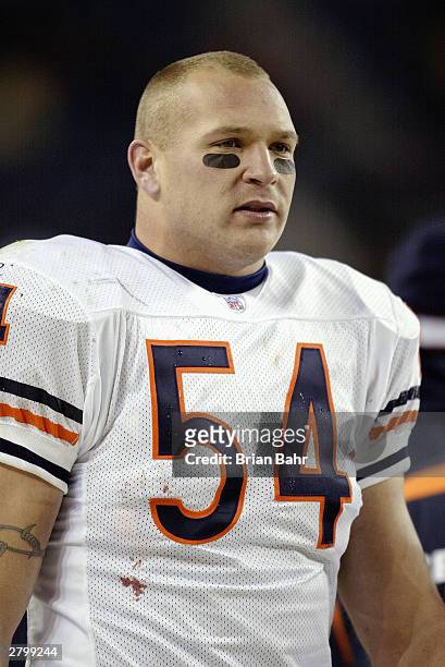 Linebacker Brian Urlacher of the Chicago Bears looks on en route to victory over the Denver Broncos on November 23, 2003 at Invesco Field at Mile...