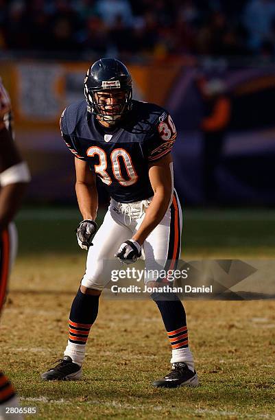 Safety Mike Brown of the Chicago Bears on the field during the game against the Arizona Cardinals on November 30, 2003 at Soldier Field in Chicago,...