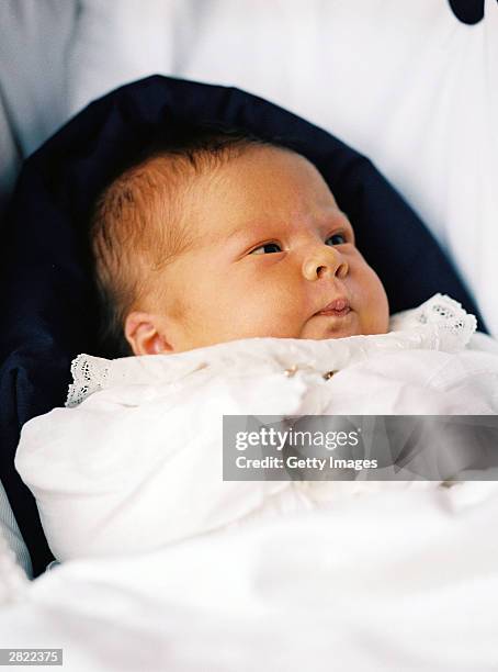 In this handout photo from RVD, newborn baby girl Catharina-Amalia is picrured on December 19, 2003 in Wassenaar, The Netherlands.