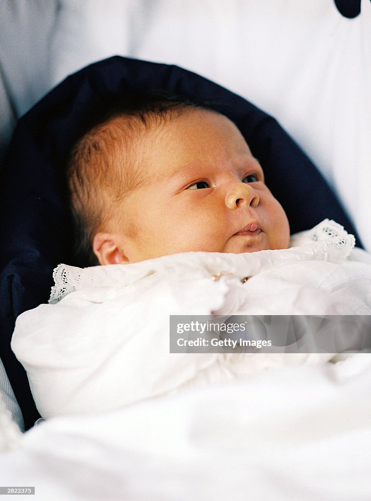 Dutch Princess Maxima Gives Birth