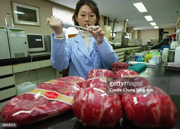 South Korean researcher conducts DNA tests on imported beef at a research centre on December 26, 2003 in Seoul, South Korea. South Korea halted...