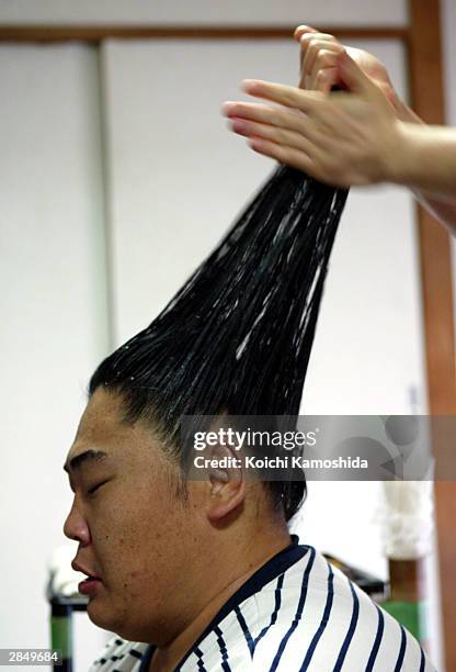 29 Sumo Wrestler Hair Photos and Premium High Res Pictures - Getty Images 29 Sumo Wrestler Hair Photos and Premium High Res Pictures - Getty Images