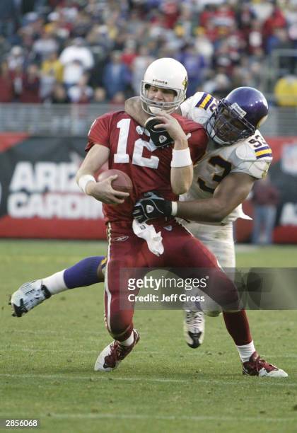 Quarterback Josh McCown of the Arizona Cardinals gets sacked by Kevin Williams of the Minnesota Vikings during the game on December 28, 2003 at Sun...