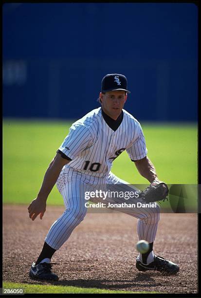 CHICAGO WHITE SOX INFIELDER STEVE SAX FIELDS A GROUNDBALL DURING THE WHITE SOX GAME AT COMISKEY PARK IN CHICAGO, ILLINOIS. MANDATORY CREDIT: JONATHAN...