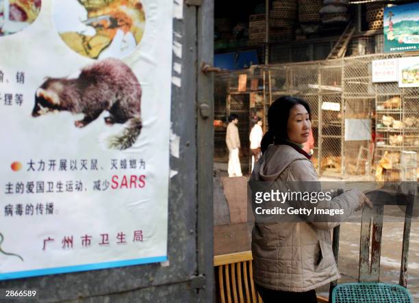 Woman moves a chair next to a propaganda poster that promotes the killing of civet cats, cockroaches and rats at the Xinyuan wild animal market...