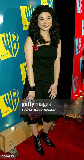 Hollywood, CA Actress Keiko Agena arrives to The WB Networks 2004 All-Star Winter Party on January 13, 2004 at the Hollywood and Highland Mall, in...