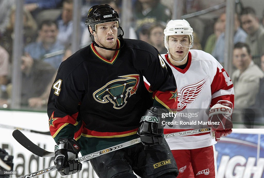 Red Wings v Stars