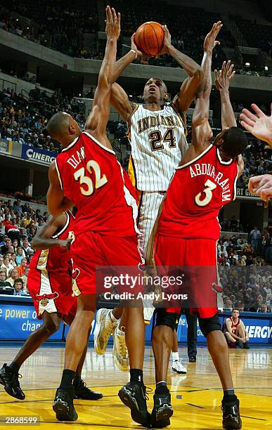 528 Pacers Jonathan Bender Photos & High Res Pictures Getty Images