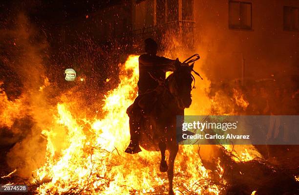 Horse is led over a bonfire in the village of Sant Bartolome de Pinares, Spain, 74 miles west of Madrid during a fiesta in honor of Saint Anton, the...