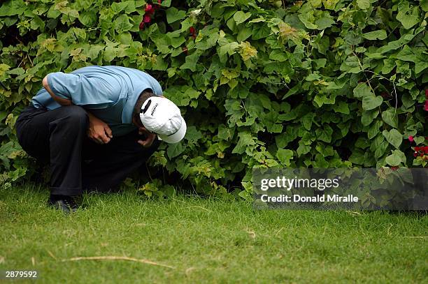 Harrison Frazar looks for a ball lost in the rough on the 6thhole during the final round of the Sony Open on January 18, 2004 at the Waialae Country...