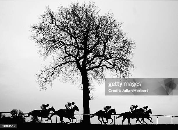 plumpton races - steeplechasing horse racing stockfoto's en -beelden