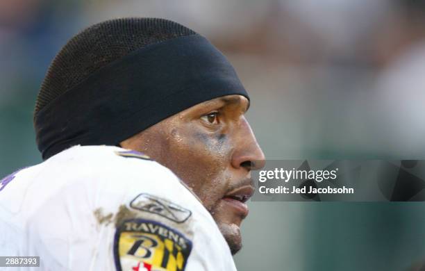 Linebacker Ray Lewis of the Baltimore Ravens watches from the sideline during the game against the Oakland Raiders on December 14, 2003 at the...