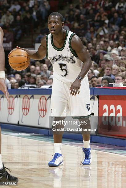 Anthony Goldwire of the Minnesota Timberwolves looks to make a play against the Miami Heat during the game at Target Center on January 10, 2004 in...