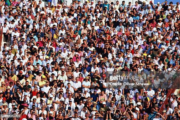 sports crowd, full frame - crowd of people stock pictures, royalty-free photos & images