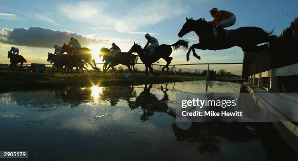 leicester races - leicester races stock pictures, royalty-free photos & images