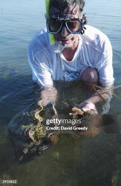 Environmentalists Examine Rare Giant Clams In The Philippines Environmentalists Examine Rare Giant Clams In The Philippines