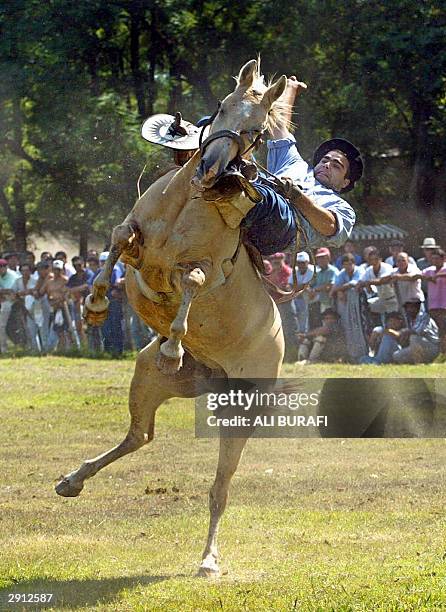 Horseman rides an untamed horse in Carmen de Areco City, in Buenos Aires province, Argentina, 26 January 2004. In the 'jineteadas' horsemen try to...