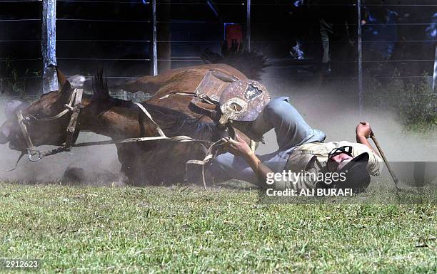 Horseman and his horse fall to the ground in Carmen de Areco City, in Buenos Aires province, Argentina, 26 January 2004. In the 'jineteadas' horsemen...