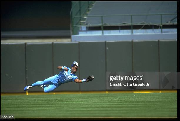 KANSAS CITY ROYALS OUTFIELDER BO JACKSON MAKES A DIVING CATCH DURING THE ROYALS VERSUS OAKLAND A''S GAME AT OAKLAND COUNTY STADIUM IN OAKLAND,...