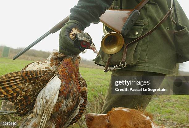 An unidentified hunter carries Hen-Pheasant during the last day of the Hunting season for feathered game, January 31 in Cosne Sur Loire, France.