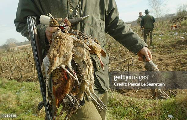 An unidentified hunter carries birds in a hunting party during the last day of the Hunting season for feathered game, January 31 in Cosne Sur Loire,...