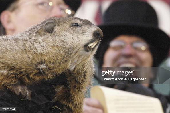 Punxsutawney Phil Makes His Annual Appearance Punxsutawney Phil Makes His Annual Appearance