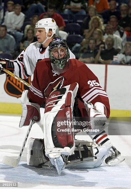 Goaltender Zac Bierk of the Phoenix Coyotes makes a kick save against the Chicago Blackhawks on October 28, 2003 at America West Arena in Phoenix,...