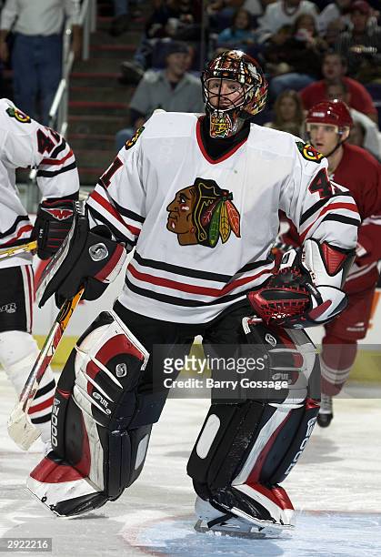 Goaltender Jocelyn Thibault of the Chicago Blackhawks faces the play during the game against the Phoenix Coyotes on October 28, 2003 at America West...
