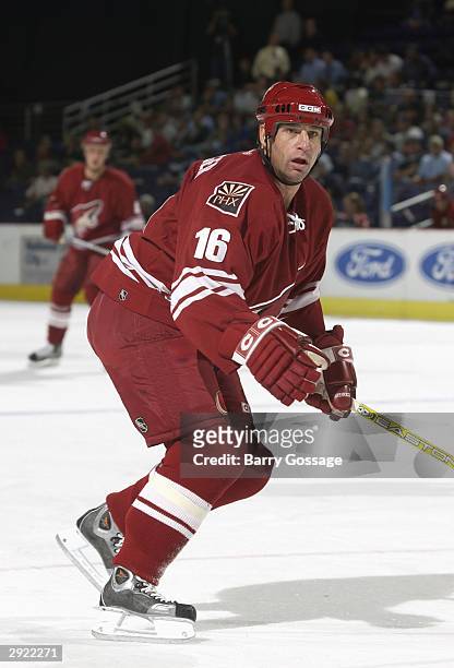 Mike Sillinger of the Phoenix Coyotes eyes the play during the game against the Chicago Blackhawks on October 28, 2003 at America West Arena in...