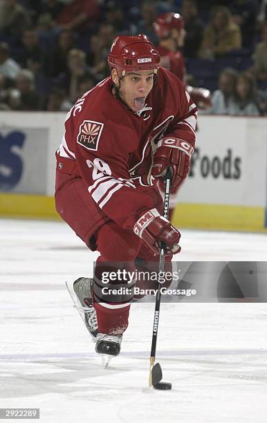 Branko Radivojevic of the Phoenix Coyotes stickhandles the puck during the game against the Chicago Blackhawks on October 28, 2003 at America West...