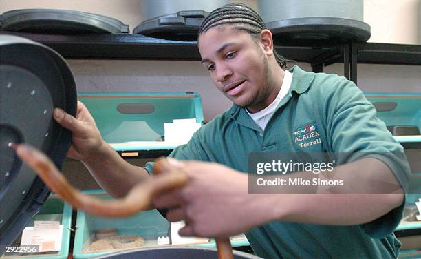 Zoo Academy student Terrell Watson moves a Salt Marsh Water Snake so its habitat can be cleaned February 2, 2004 in Cincinnati, Ohio. The Zoo Academy...