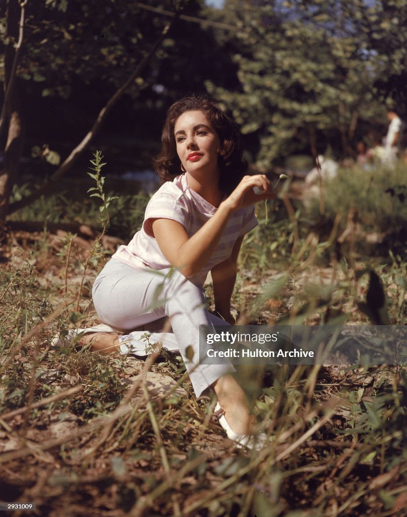 Portrait Of Elizabeth Taylor
