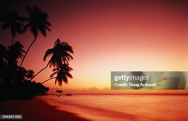 tobago,pigeon point beach at sunset - tobago imagens e fotografias de stock