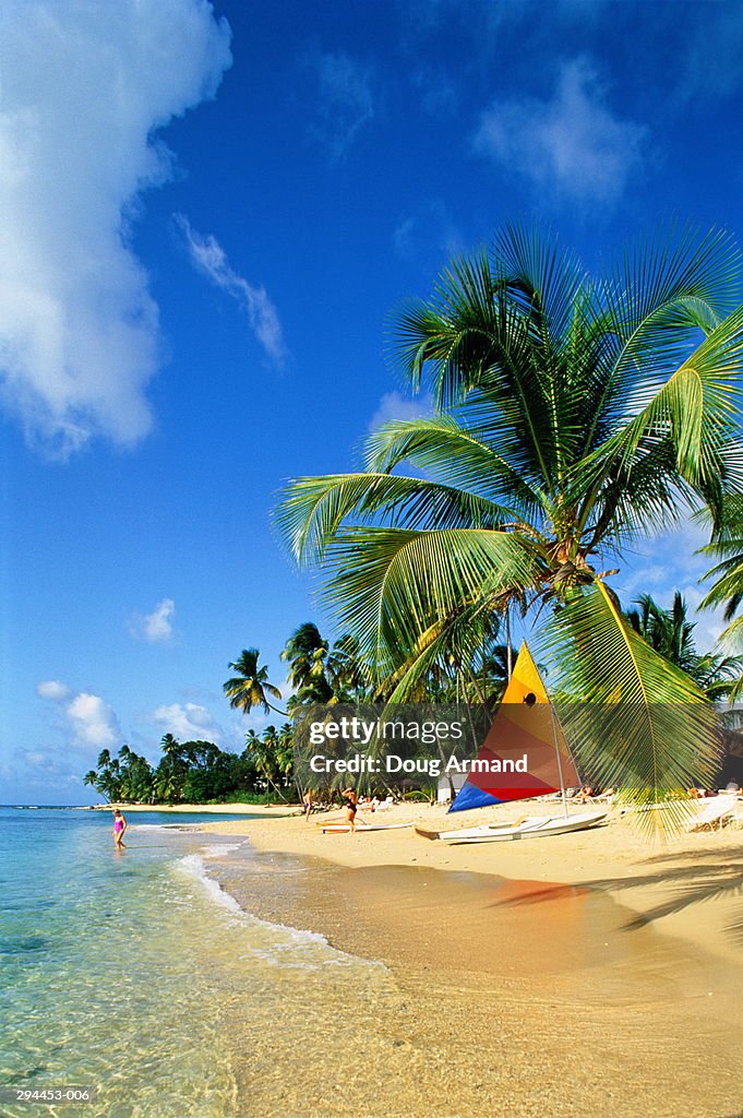 Barbados, Mullins Bay, Kings Beach