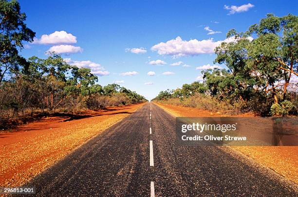 deserted tree-lined road,queensland australia - desert highway stock pictures, royalty-free photos & images