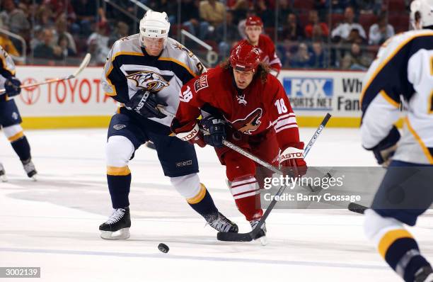 Denis Arkhipov of the Nashville Predators battles for the puck with Tyson Nash of the Phoenix Coyotes on February 21, 2004 at Glendale Arena in...