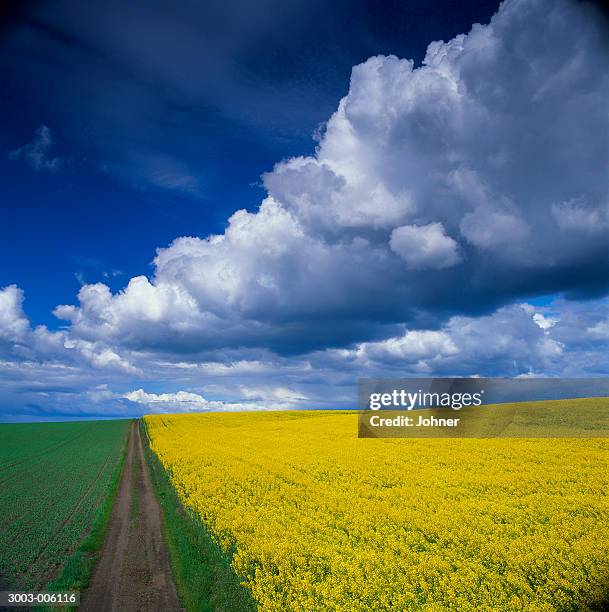 clouds over fields - skane stockfoto's en -beelden