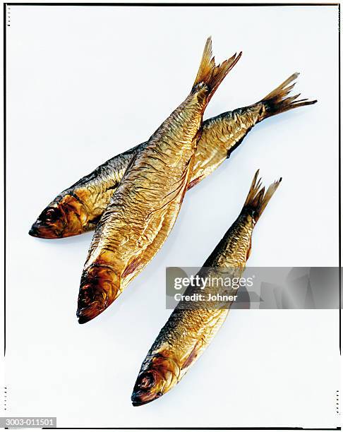 three smoked baltic herrings - kipper stock pictures, royalty-free photos & images