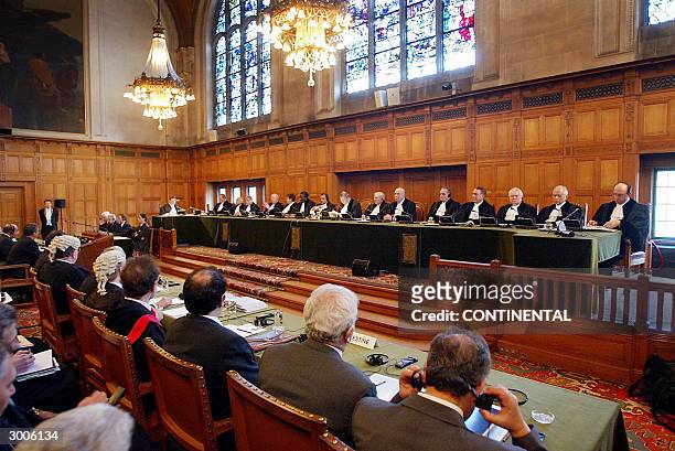6,164 International Court Of Justice Photos and Premium High Res Pictures - Getty Images