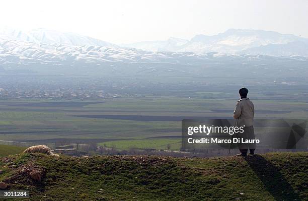 Shepherd stands looking out towards the mountains where a mass grave site of most of the victims of the March 16, 1988 chemical attacks on Halabja...
