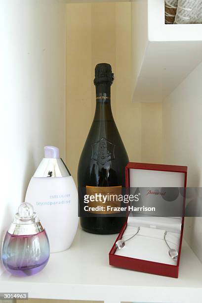 Part of the Estee Lauder gift bag given to female celebrities at the Estee Lauder Oscar Spa held at Four Seasons Hotel on February 25 2004 in Beverly...