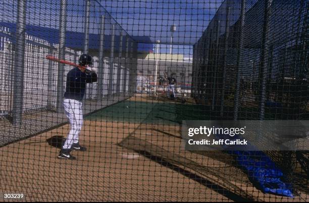 General view of a batting cage during a spring training game between the Oakland Athletics and the Milwaukee Brewers at the Maryvale Baseball Park in...